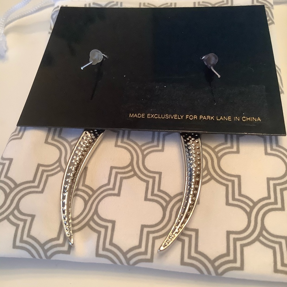 Park Lane To The Point Earrings - Picture 5 of 11